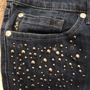 Premium Torrid Embellished Skinny Jeans👖Sz 20/22